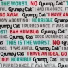 Novelty Grumpy Cat sayings flannel fabric, 1 yard, 45" wide. This soft cotton flannel is packed with funny Grumpy Cat sayings.