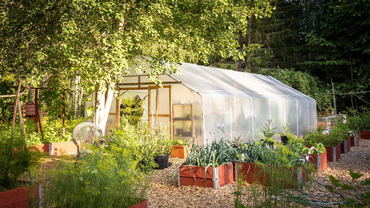 A lush garden with neatly arranged raised beds and a greenhouse in the background, filled with thriving plants and vegetables for the gardening season