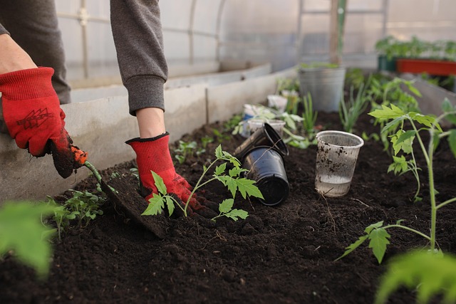 gardening tools for 2025